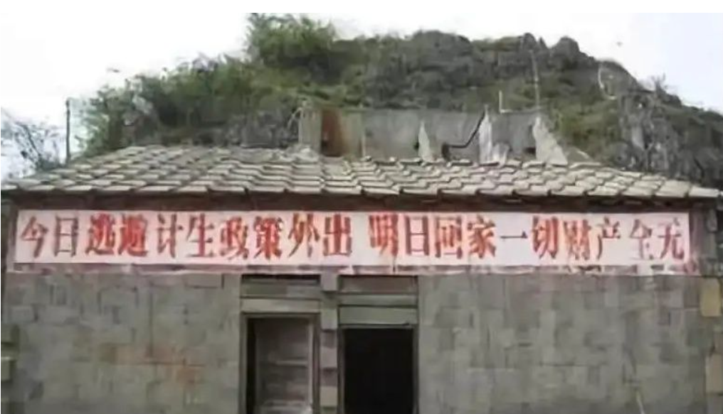 写给所有做题家41：吃屎专业No.1 电子科学与技术